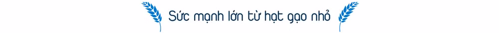 Từ hũ gạo cứu đói đến danh xưng thế giới -0