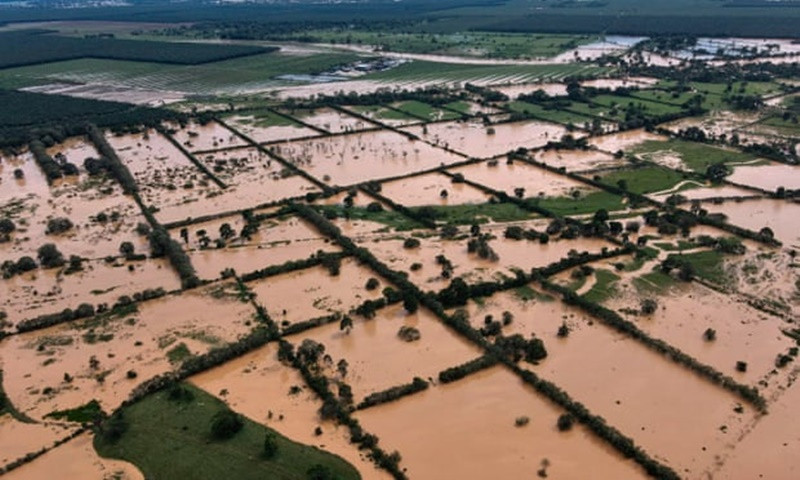 Làng Machaca thuộc TP Puerto Barrios, cách TP Guatemala gần 300 km về phía bắc, sau khi cơn bão quét qua. (Ảnh: Getty Images) Bão Eta càn quét Trung Mỹ, ít nhất 57 người thiệt mạng -0