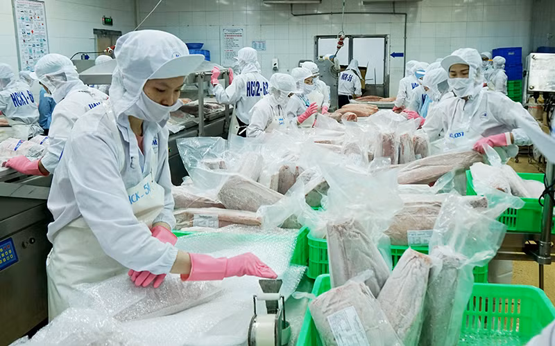 Quyết liệt phòng, chống khai thác hải sản bất hợp pháp -0