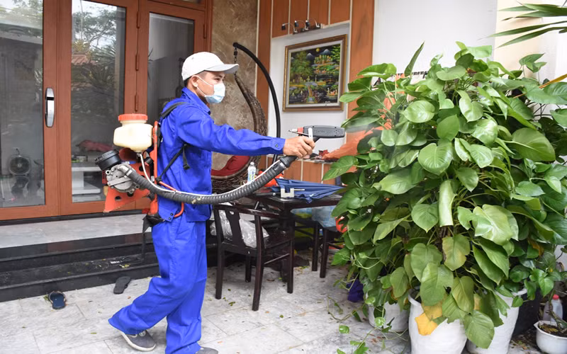 Đà Nẵng tăng cường phòng, chống bệnh sốt xuất huyết.