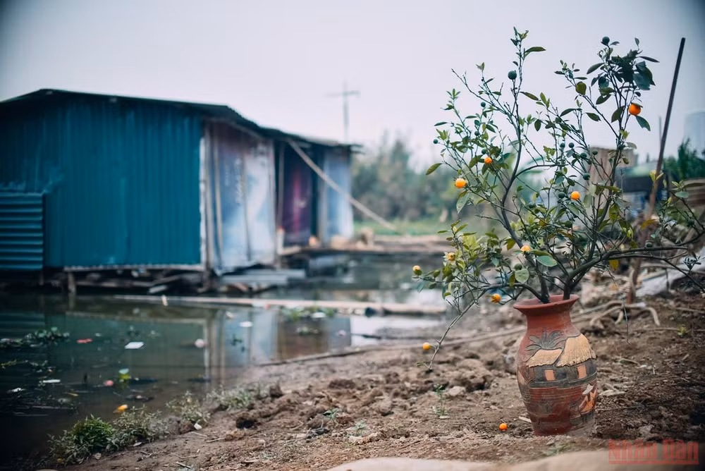 Những ngày cận Tết ở “xóm nhà phao” -0