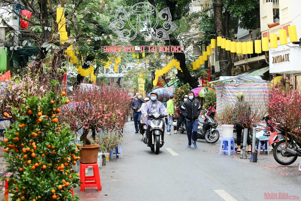 Ghi nhận của PV tại chợ hoa Hàng Lược, sức mua cũng không quá cao. 28 tháng Chạp: Hà Nội mưa rét, người bán đào, quất chán nản chở cây về vườn -0