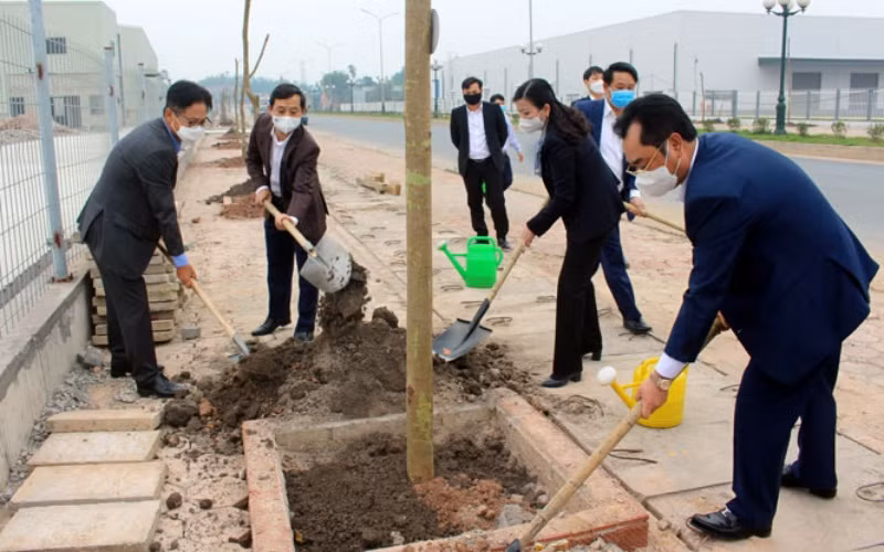 Lãnh đạo tỉnh Thái Nguyên hưởng ứng “Tết trồng cây đời đời nhớ ơn Bác Hồ”.