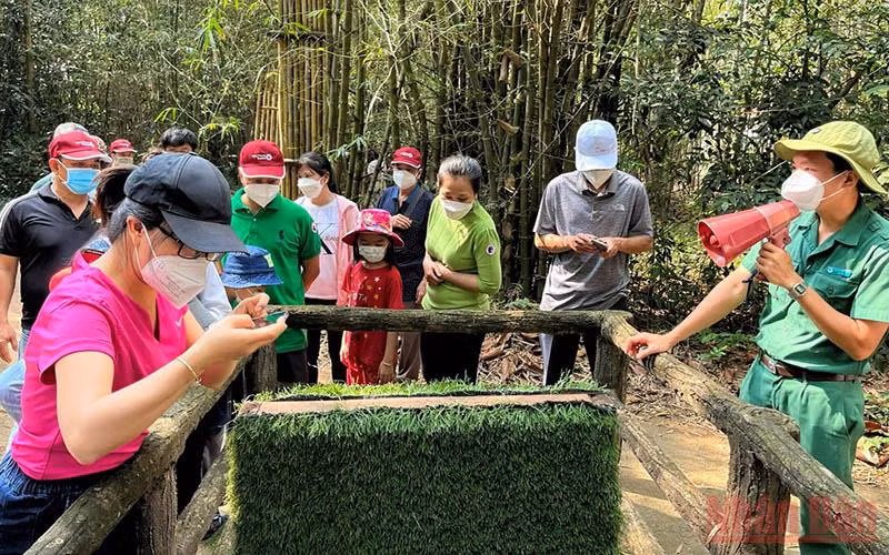 Khách du lịch tham quan Khu di tích lịch sử địa đạo Củ Chi, huyện Củ Chi, Thành phố Hồ Chí Minh. (Ảnh: Mạnh Hảo)