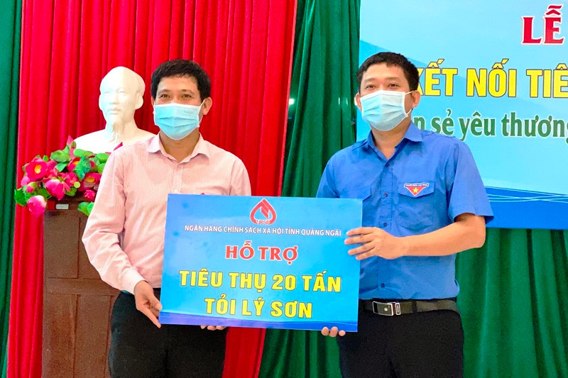 Chi nhánh Ngân hàng Chính sách xã hội tỉnh Quảng Ngãi hỗ trợ tiêu thụ 20 tấn tỏi Lý Sơn. Chung tay tiêu thụ tỏi Lý Sơn -0