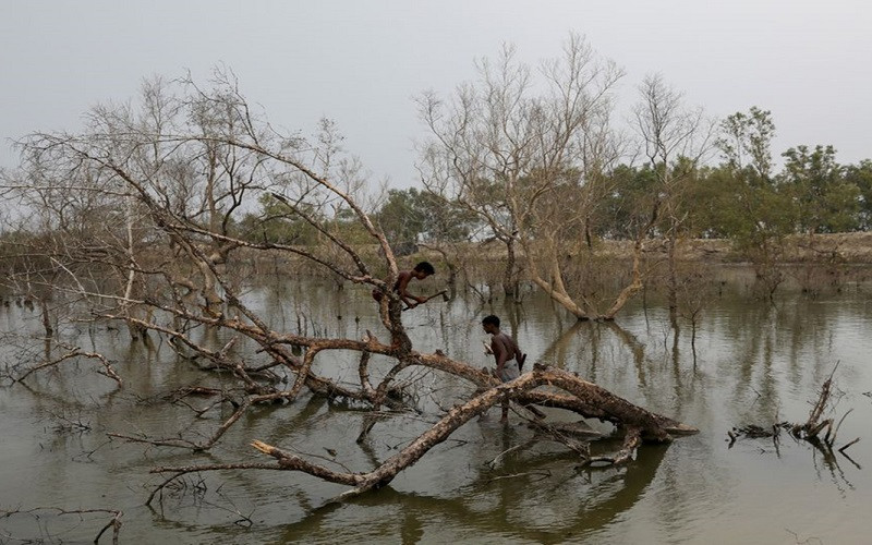 Biến đổi khí hậu đang gây ra những tác động nghiêm trọng trên phạm vi toàn cầu. (Ảnh: Reuters)