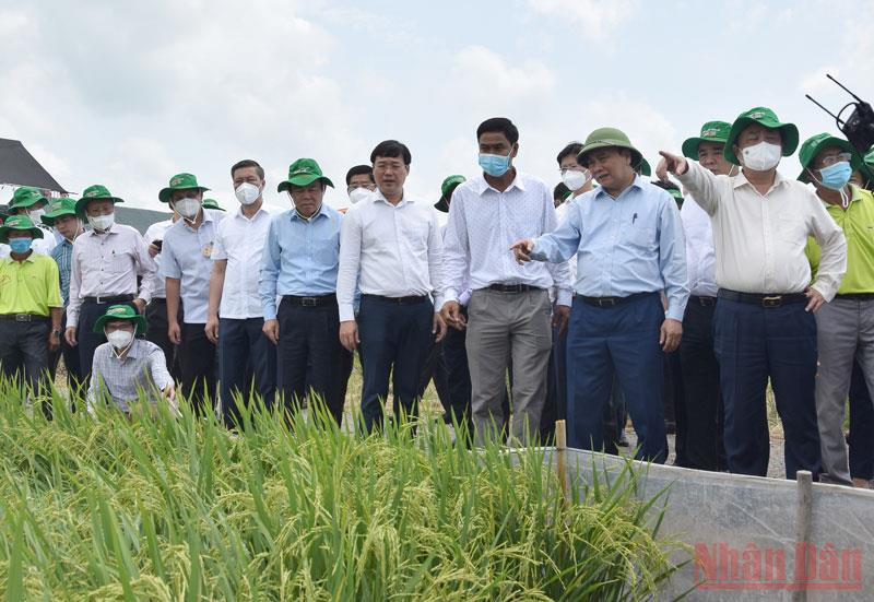 Chủ tịch nước Nguyễn Xuân Phúc thăm Hợp tác xã Dịch vụ nông nghiệp Mỹ Đông 2. Chủ tịch nước khảo sát mô hình hợp tác xã, hội quán tại Đồng Tháp -0