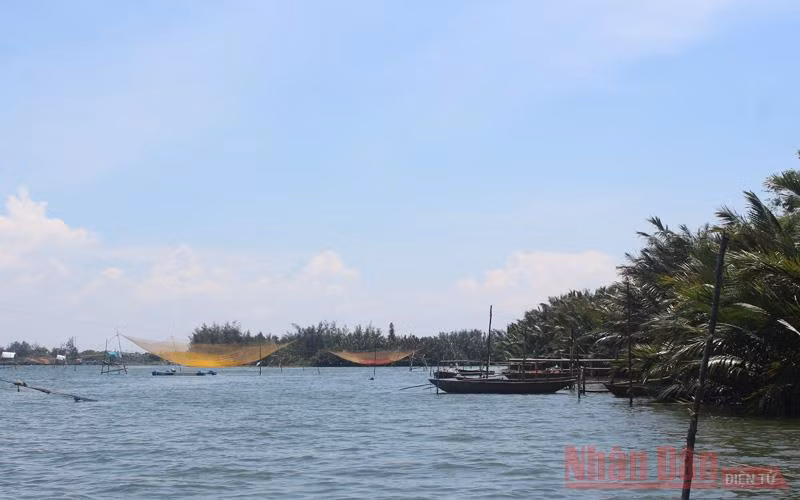 Sông Thu Bồn không những thu hút ánh nhìn từ cảnh đẹp mà còn là ngư trường nhỏ, tạo sinh kế cho những người dân ven bờ. Tại đây, sẽ bắt gặp nhưng cây cầu hẫng của những gia đình có vó bắt cá đã bắc cầu, neo thuyền bên bờ sông.