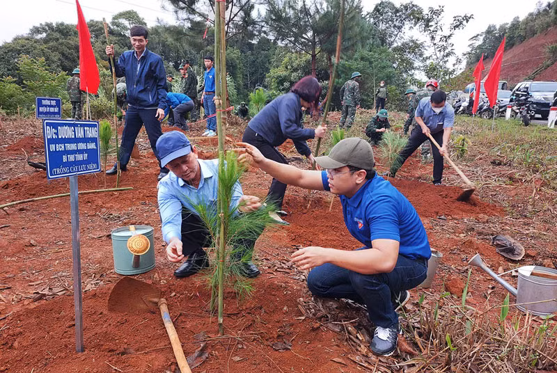 Kon Tum: Ra quân trồng cây xanh tại Măng Đen -0