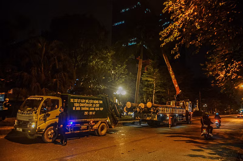 Đơn vị thi công đang thực hiện cắt tỉa, di chuyển cây xanh để phục vụ xén dải phân cách.