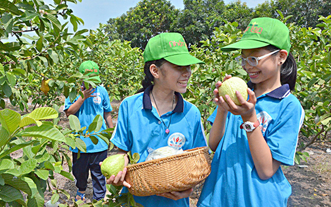 Cùng với công nghiệp, cảng biển và du lịch, nông nghiệp ứng dụng công nghệ cao được tỉnh Bà Rịa- Vũng Tàu xác định là một trong những trụ cột kinh tế của địa phương trong nhiệm kỳ tới. Bà Rịa-Vũng Tàu kiên định mục tiêu phát triển “bốn trụ cột” kinh tế -0