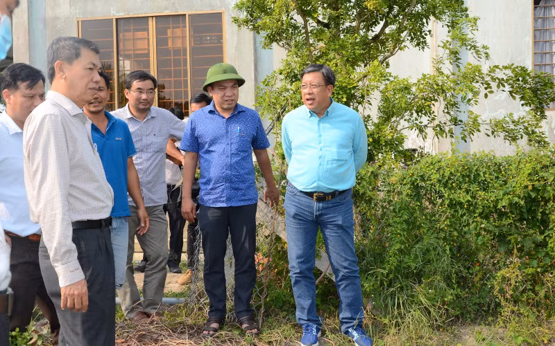 Tin hạn mặn Tiền Giang để ghép -0