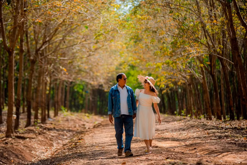 Trải nghiệm vẻ đẹp cao-su mùa thay lá ở Đồng Nai -0