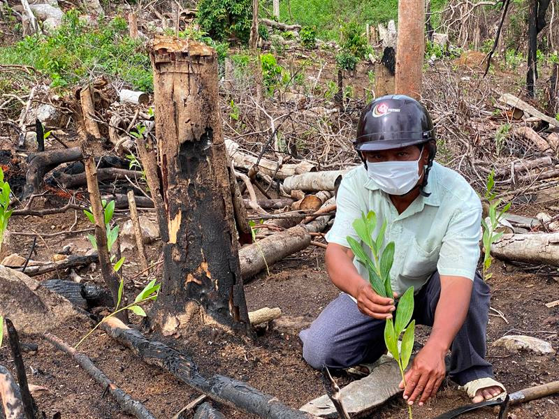 Ông Sô Minh Thạnh, người thôn Tân Thành, xã Sơn Hội, đề nghị phải làm rõ vụ phá rừng trái phép tại khu vực rừng phòng hộ nơi ông đang ngồi. Cần điều tra vụ phá rừng phòng hộ quy mô lớn ở Phú Yên -0