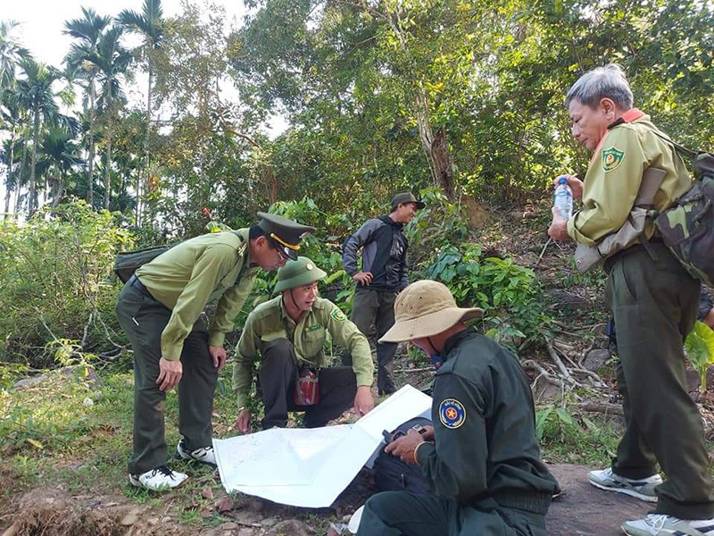 Lực lượng Kiểm lâm tỉnh Quảng Ngãi kiểm tra bảo vệ rừng. Hiểm họa cháy rừng ở Quảng Ngãi -0
