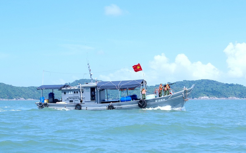 Tàu của Bộ đội Biên phòng Hòn Khoai (Cà Mau) hướng dẫn ngư dân vào nơi neo đậu, tránh trú bão. Cà Mau tạm ngưng những cuộc họp không cần thiết, tập trung ứng phó bão -0