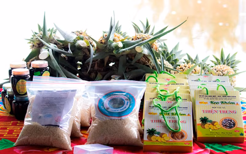 Đến với xứ Gò Quao -0