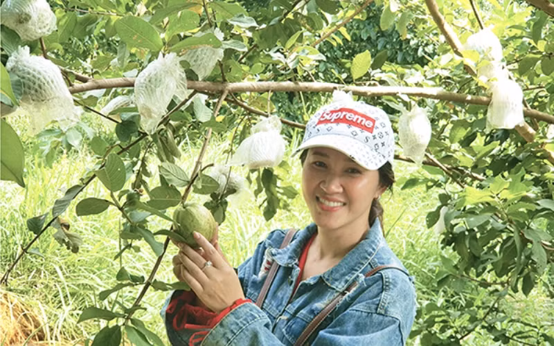 Đến với xứ Gò Quao -0