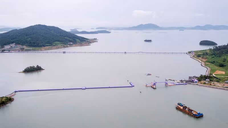 Độc đáo “Quần đảo Tím” hút khách ở Hàn Quốc -0