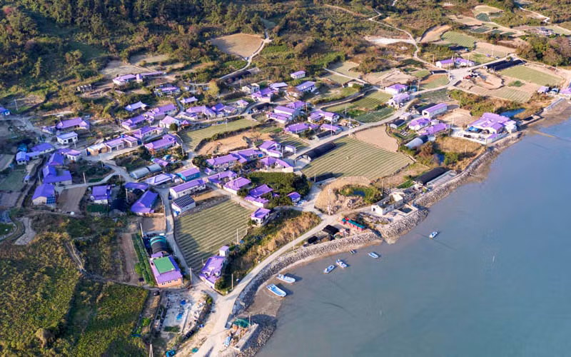 Những mái nhà tím của "Quần đảo Tím" (Ảnh: CNN) 