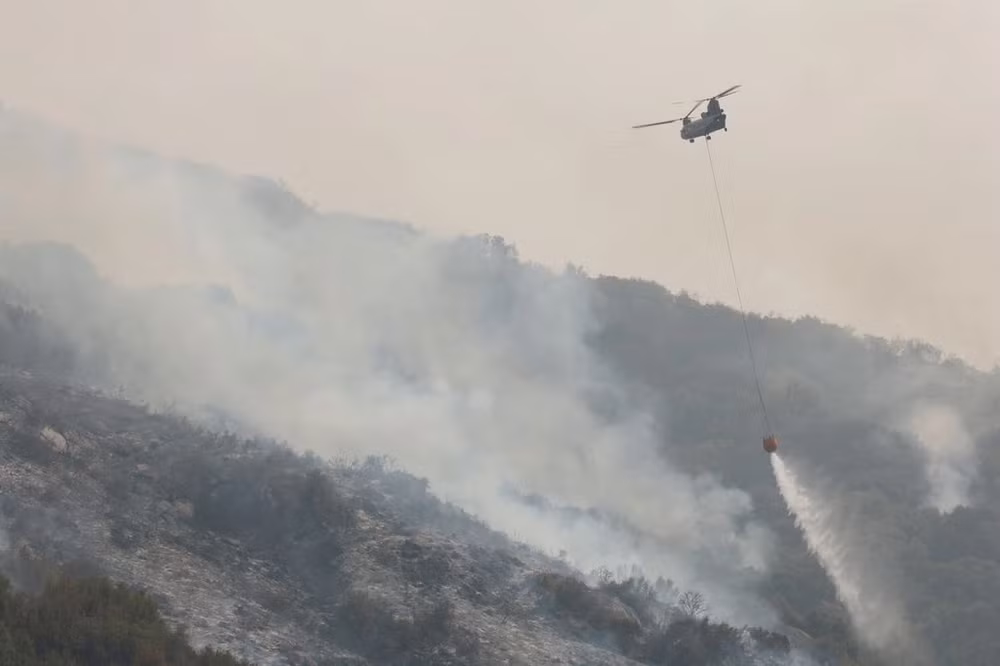 Cây lớn nhất thế giới an toàn trong biển lửa -0