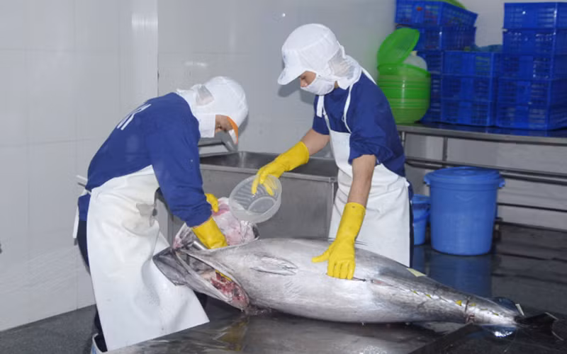 Kỳ tích xuất nhập khẩu 2021 -0