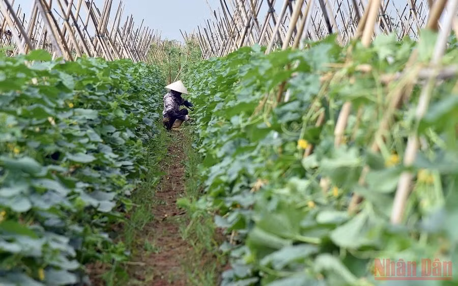 10 sự kiện tiêu biểu của Thủ đô Hà Nội năm 2021 -0