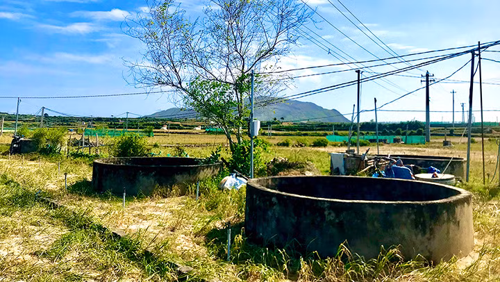 Phố giếng -0
