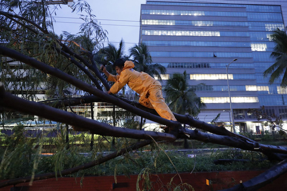 Bão quật đổ nhiều cây tại thủ đô Manila. (Ảnh: AP) Goni -0
