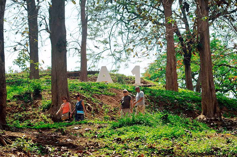 Đồi A1 là một trong 45 điểm di tích thành phần thuộc Di tích lịch sử quốc gia đặc biệt Chiến trường Điện Biên Phủ.