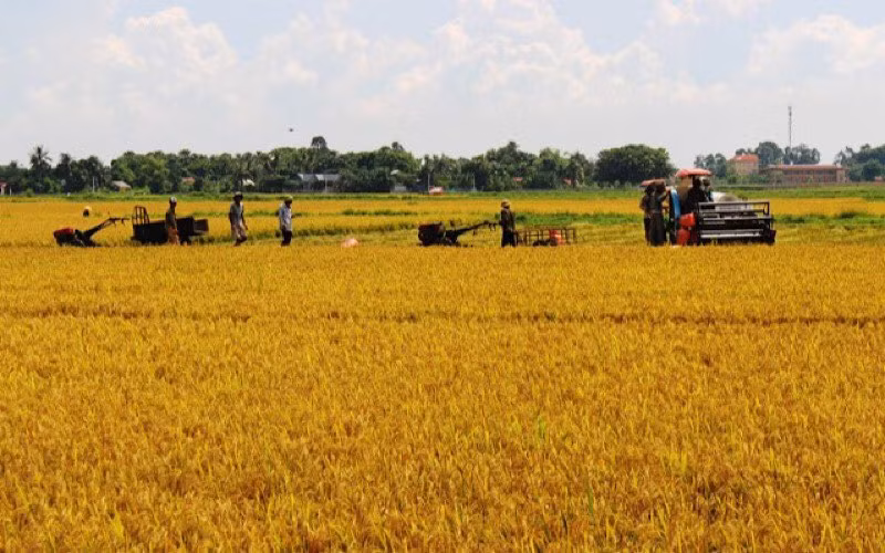 Thanh Hóa nâng cao chất lượng xây dựng nông thôn mới