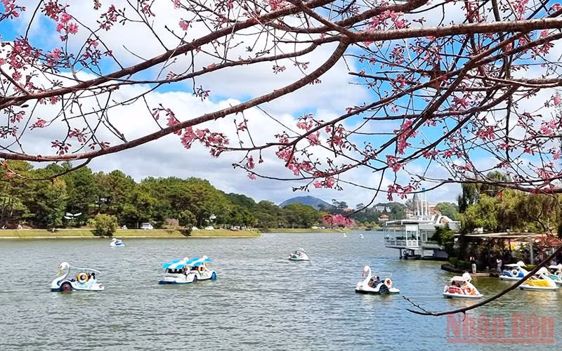 Trên hồ Xuân Hương-Đà Lạt. Ảnh: MAI VĂN BẢO