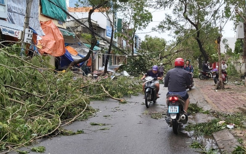 Gió giật mạnh khiến hàng loạt cây xanh tại TP Quảng Ngãi bị ngã đổ. 1_3-1603872802280.jpg