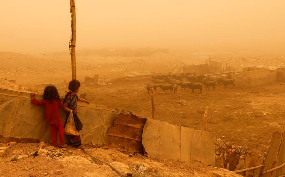 Những đứa trẻ chăn trâu tại quận Al-Futheliyah, thủ đô Baghdad. Bão cát Iraq -5