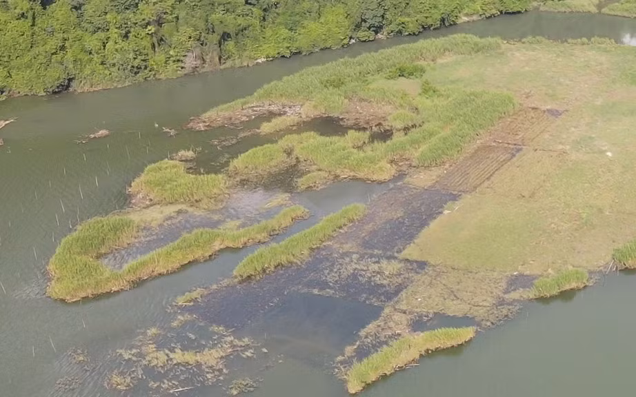 Một góc hồ Ba Bể đang bị bồi lắng bởi phù sa.