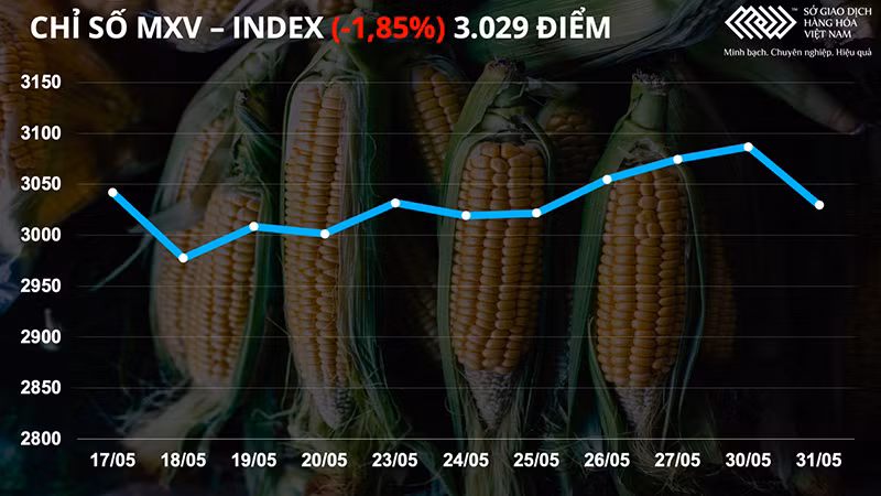 Thị trường nông sản đỏ lửa trước kỳ vọng ổn định nguồn cung toàn cầu -0