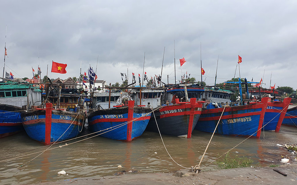 Tàu thuyền vào khu neo đậu an toàn ở Quỳnh Phương, thị xã Hoàng Mai.