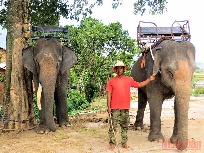 Thơ mộng hồ Lắk giữa đại ngàn Tây Nguyên -0