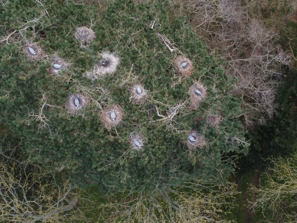 Những bức ảnh ấn tượng về động vật hoang dã trong tuần -0