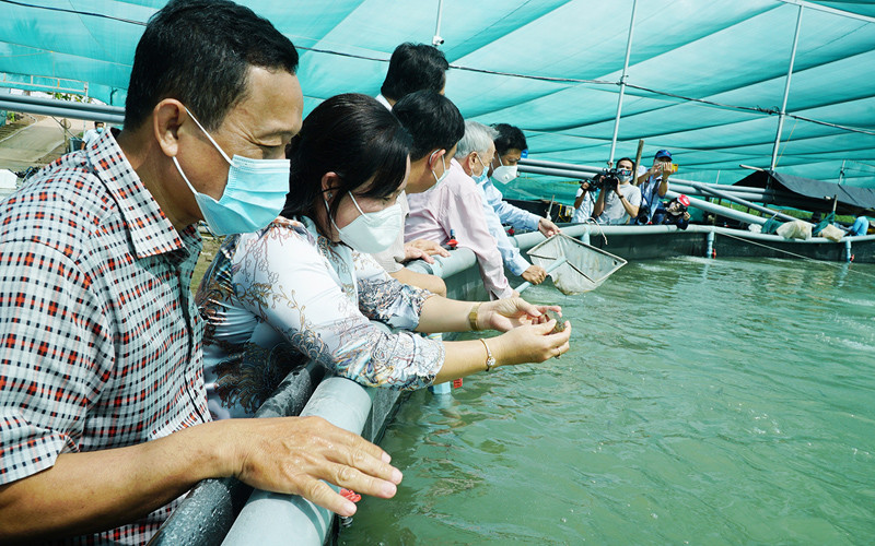 Sóc Trăng áp dụng thành công biện pháp phòng, chống Covid-19 và duy trì chuỗi sản xuất, kinh doanh từ 3 tháng qua. Sóc Trăng áp dụng cơ chế “Thích ứng, an toàn, linh hoạt, kiểm soát hiệu quả dịch Covid-19” -0