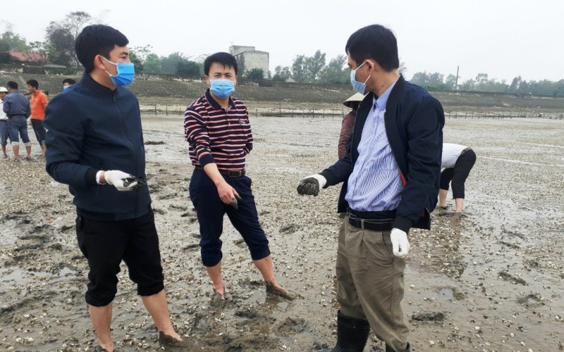 Cán bộ chuyên môn kiểm tra hiện trạng đồng nuôi ngao bị chết.