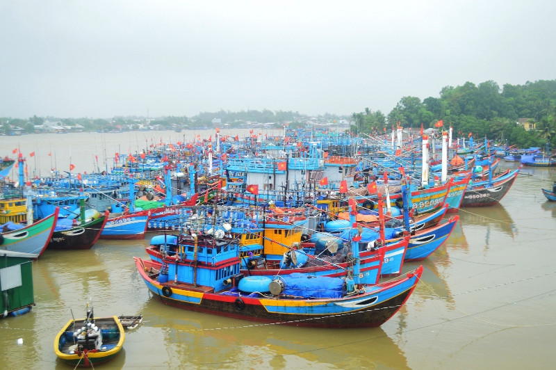 Tàu cá của ngư dân Quảng Ngãi vào bờ tránh trú bão số 9. Các địa phương chủ động phòng chống bão số 9 -0