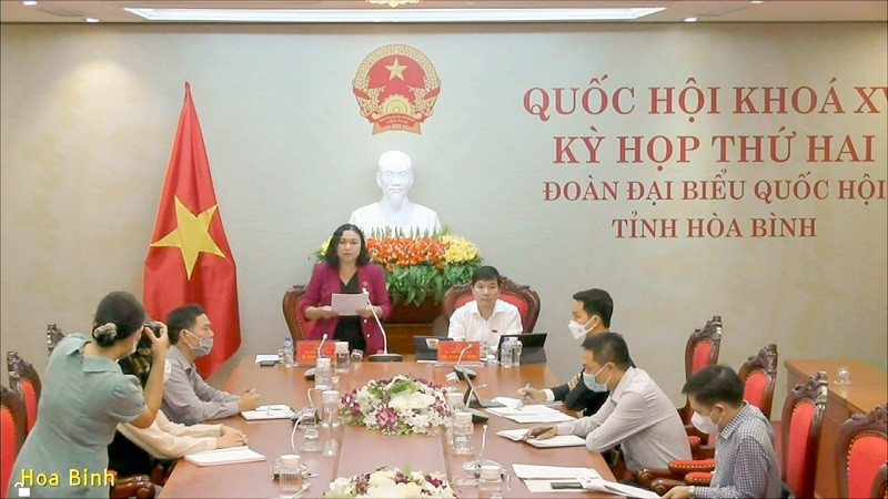 Đại biểu Đặng Bích Ngọc phát biểu từ điểm cầu Hòa Bình. (Ảnh: quochoi.vn) Đẩy mạnh thực hiện chính sách bảo hiểm y tế, tiến tới bảo hiểm y tế toàn dân -0