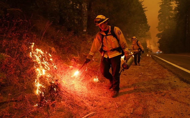 Bang California ban bố tình trạng khẩn cấp tại năm hạt do cháy rừng ảnh 7 Bang California (Mỹ) ban bố tình trạng khẩn cấp tại năm hạt do cháy rừng -2