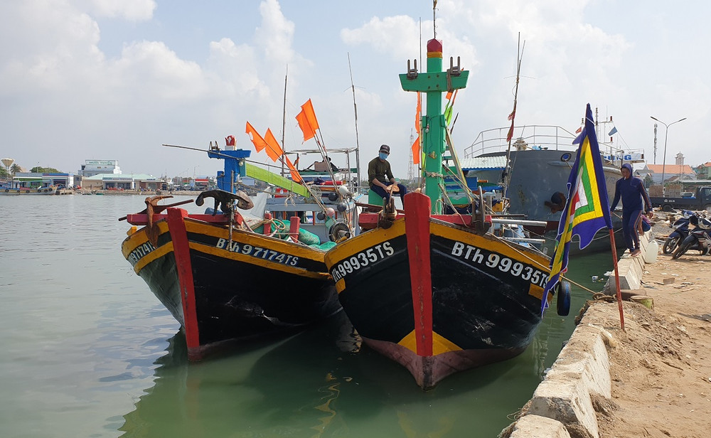 Hai chiếc tàu của ngư dân phường Đức Long, TP Phan Thiết phối hợp kéo xác cá voi từ vùng biển Phú Quý về Phan Thiết. Cá voi dài 16 mét, nặng hơn sáu tấn chết ở vùng biển Bình Thuận -0