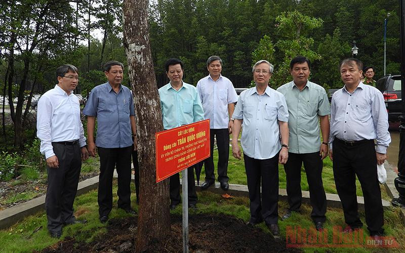 Đồng chí Trần Quốc Vượng trồng cây lưu niệm tại Công viên văn hoá Mũi Cà Mau. Thường trực Ban Bí thư làm việc với Ban Thường vụ Huyện ủy Năm Căn -0
