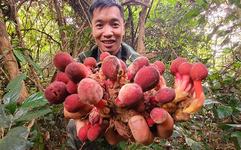 Những người thợ rừng -0