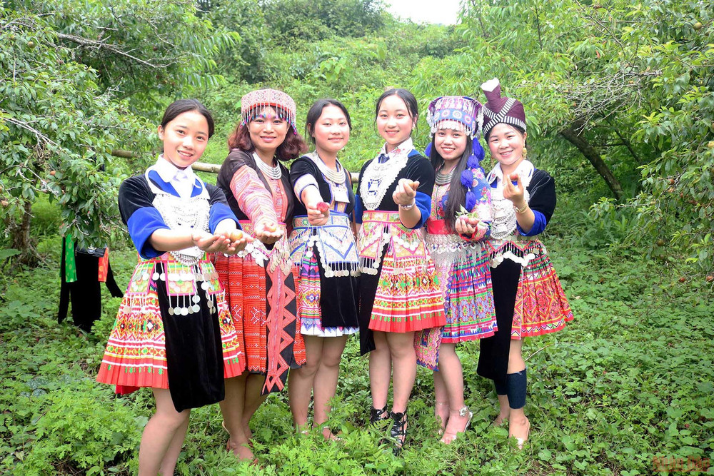 Du khách chụp ảnh lưu niệm cùng các thiếu nữ Mông cùng trang phục truyền thống tại hội thi hái mận 2022. Ngày hội hái mận ở vùng cao Nghệ An -0