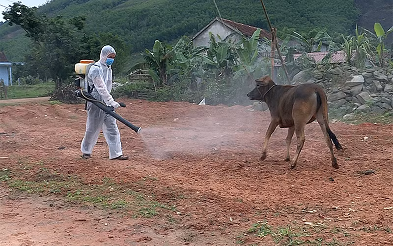 Công tác kiểm soát dịch bệnh trong nông nghiệp, thủy sản, trồng trọt, chăn nuôi là vô cùng quan trọng. (Ảnh minh họa)