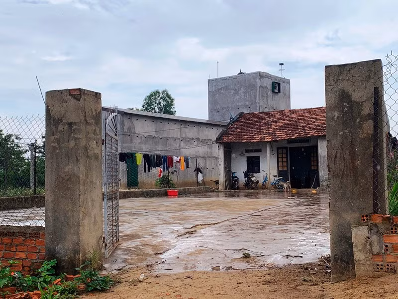 Những “biệt thự” nuôi chim yến ở Đắk Lắk -0